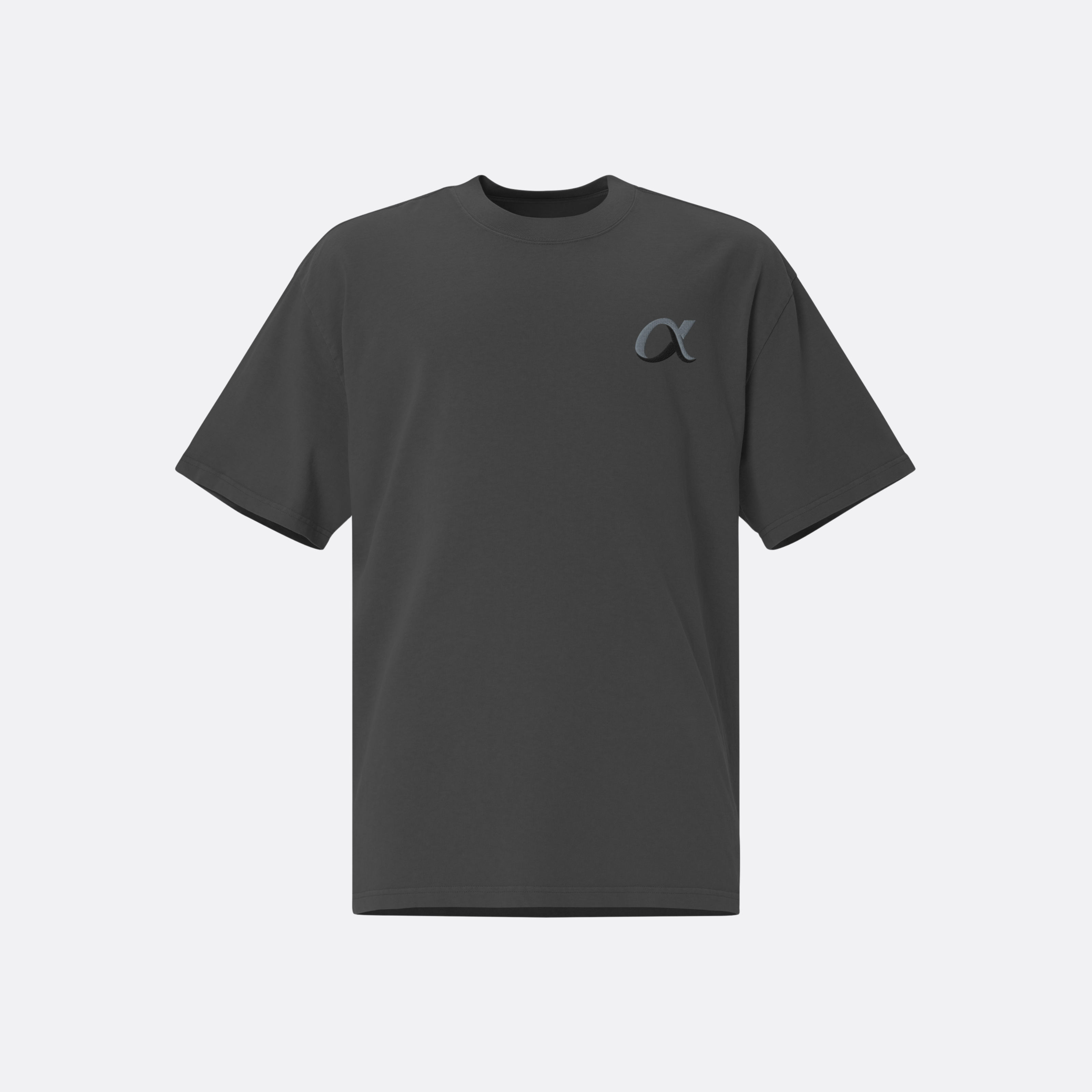 OVERSIZE ALPHA EMBROIDERY T-SHIRT