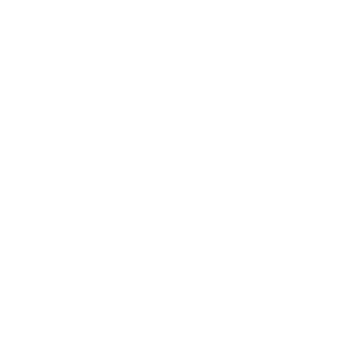 Wolfran Studio